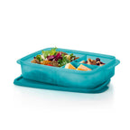 Large Container